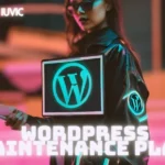 Wordpress maintenance plan